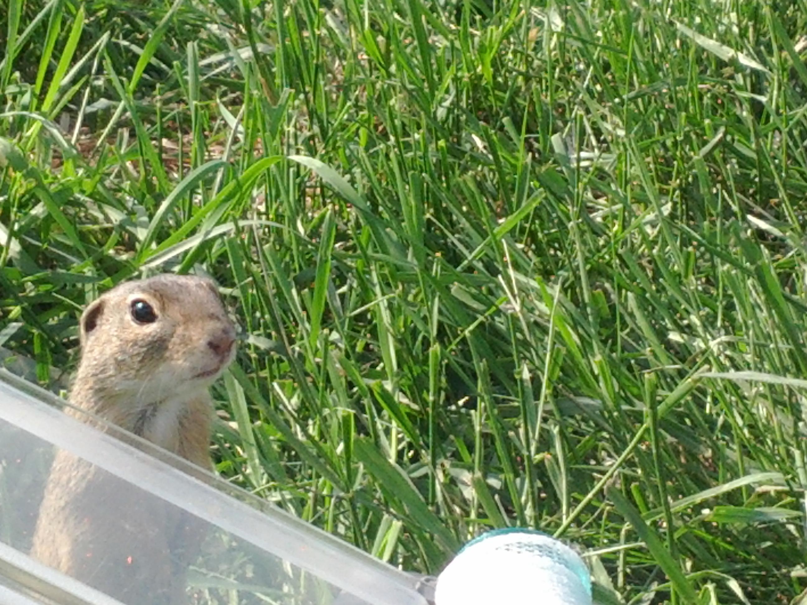 Party Cup Solacolu 2012 - IMG_20120428_160813.jpg